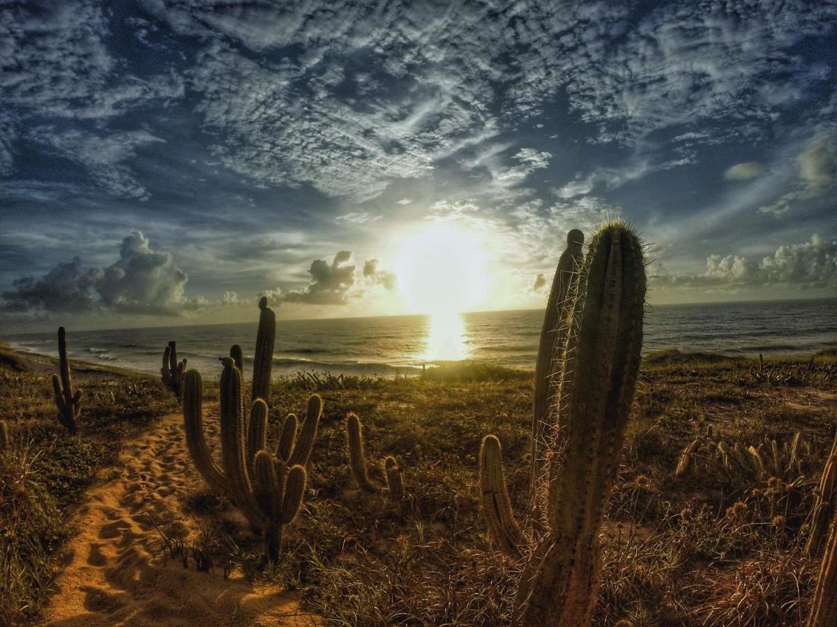 Tropical Hostel Praia de Pipa エクステリア 写真