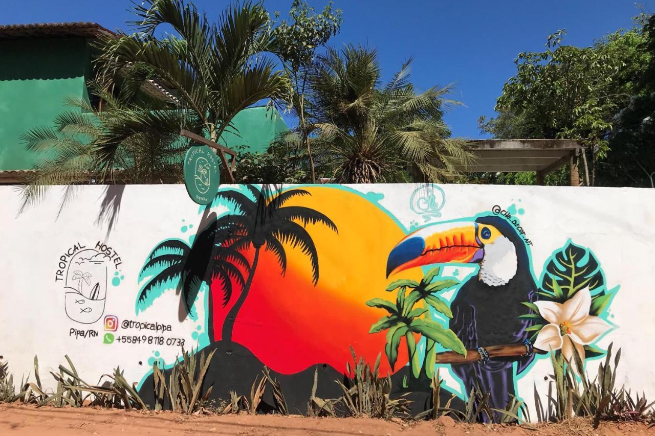 Tropical Hostel Praia de Pipa エクステリア 写真